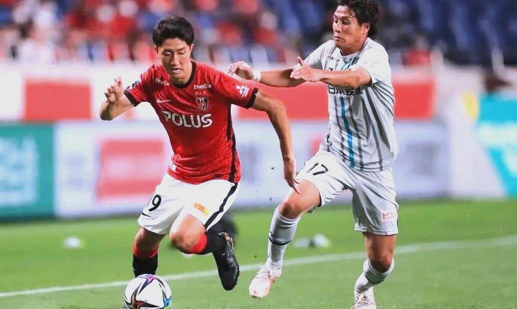 日本浦和红钻官网