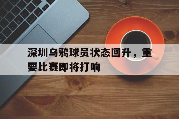 深圳乌鸦哥个人简历